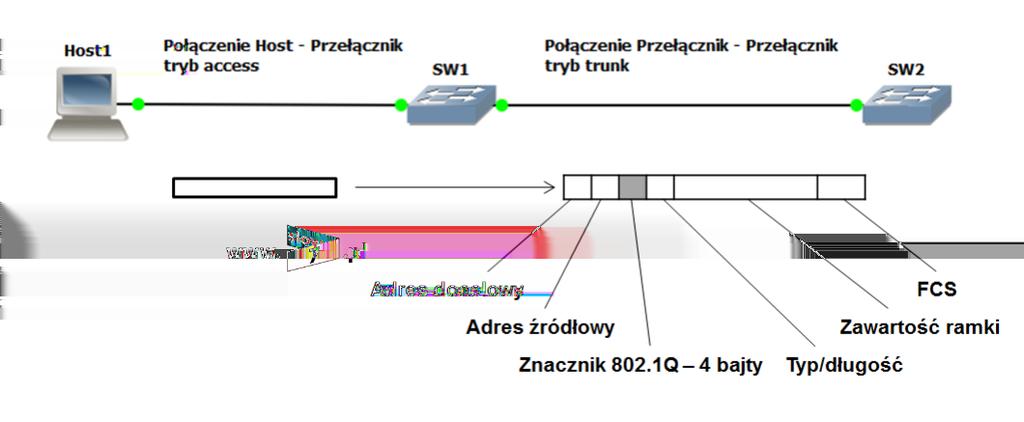 21 (Pobrane z slow7.