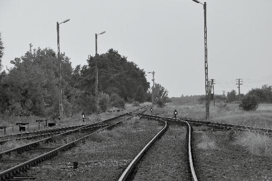 wego podejścia.