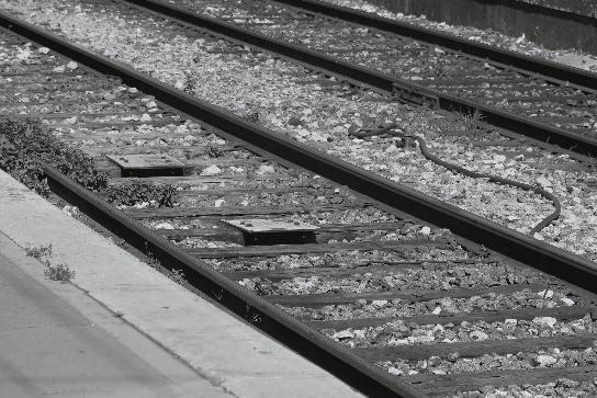 Fot. archiwum redakcji może być przydzielane dla danego odcinka globalnie przez centralny serwer zależnościowy i przesyłane drogą radiową.