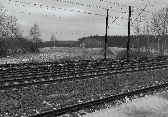 Fot. Jadwiga Wrzesińska brytyjskie, niemieckie i północnoamerykańskie.