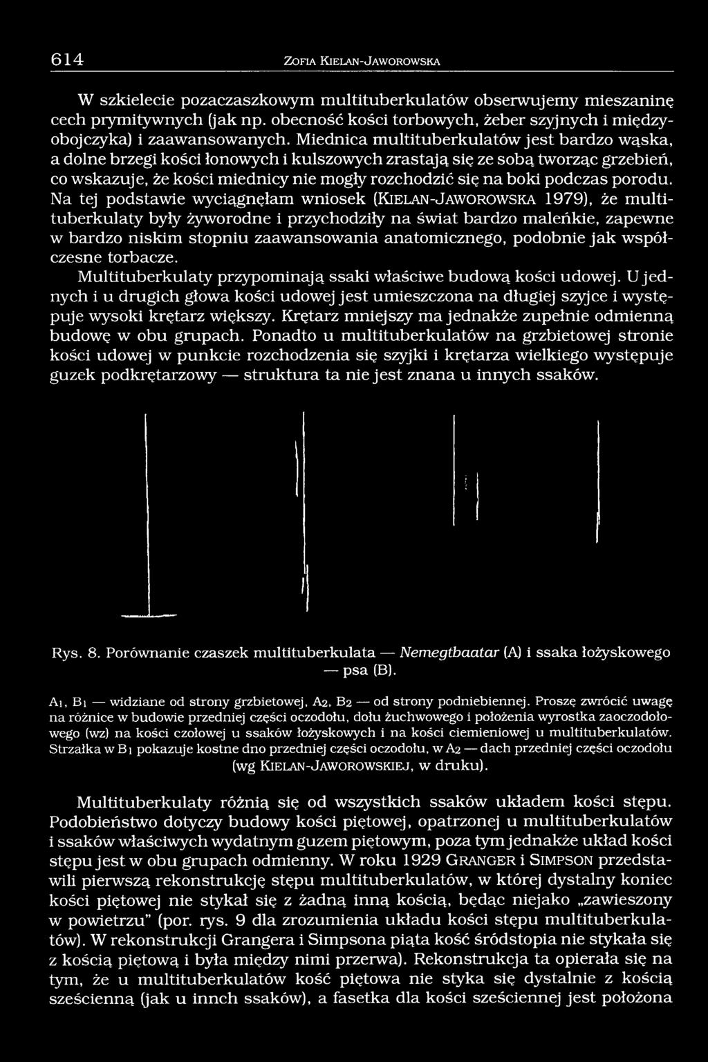 Miednica multituberkulatów jest bardzo wąska, a dolne brzegi kości łonowych i kulszowych zrastają się ze sobą tworząc grzebień, co wskazuje, że kości miednicy nie mogły rozchodzić się na boki podczas