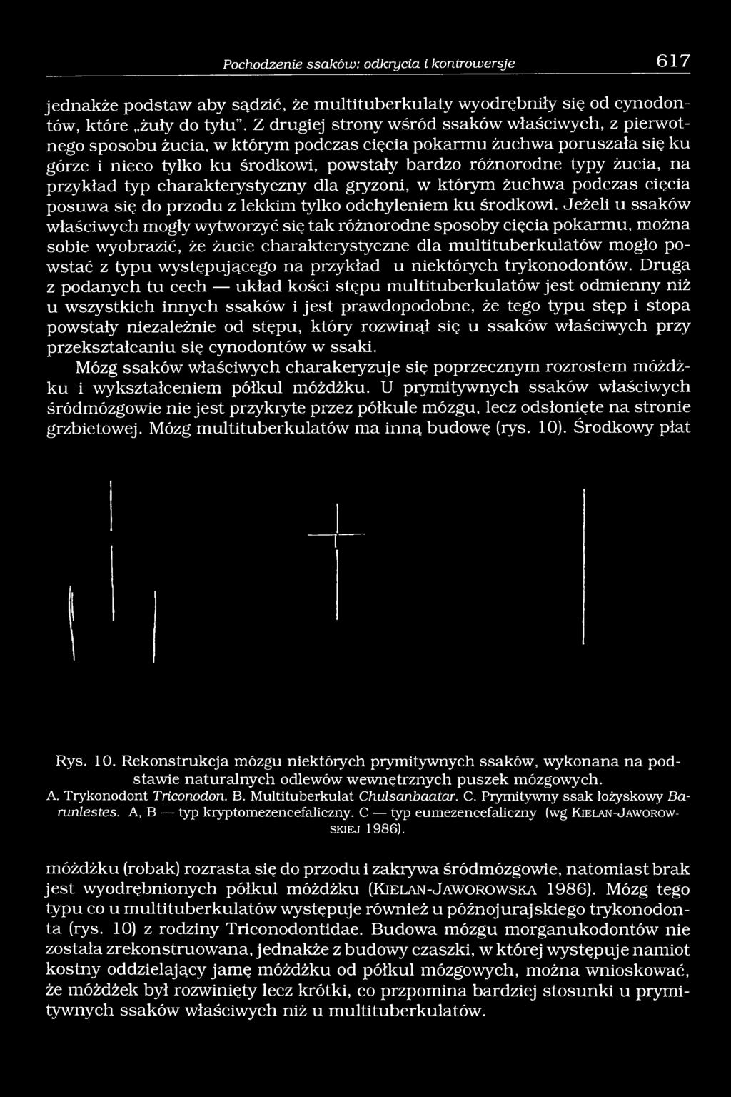 na przykład typ charakterystyczny dla gryzoni, w którym żuchwa podczas cięcia posuwa się do przodu z lekkim tylko odchyleniem ku środkowi.