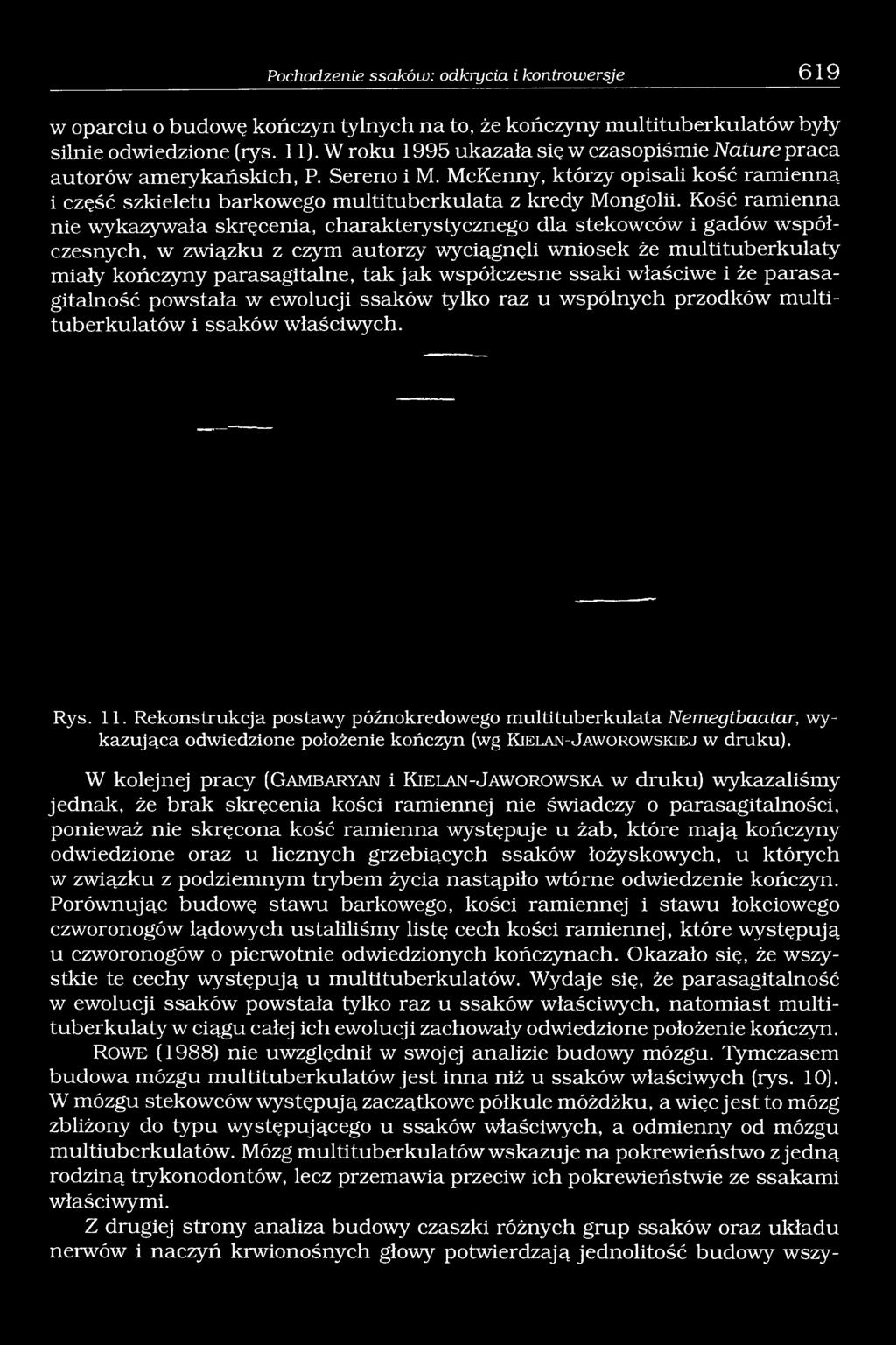 Kość ramienna nie wykazywała skręcenia, charakterystycznego dla stekowców i gadów współczesnych, w związku z czym autorzy wyciągnęli wniosek że multituberkulaty miały kończyny parasagitalne, tak jak