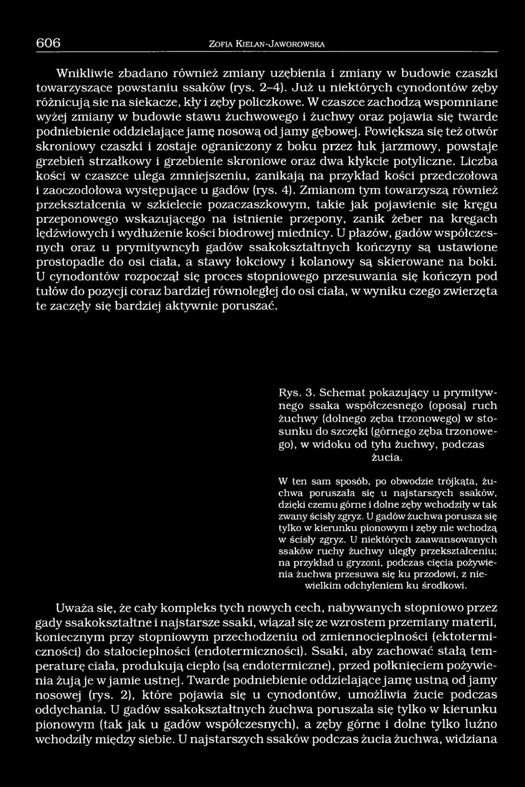 W czaszce zachodzą wspomniane wyżej zmiany w budowie stawu żuchwowego i żuchwy oraz pojawia się twarde podniebienie oddzielające jamę nosową od jamy gębowej.