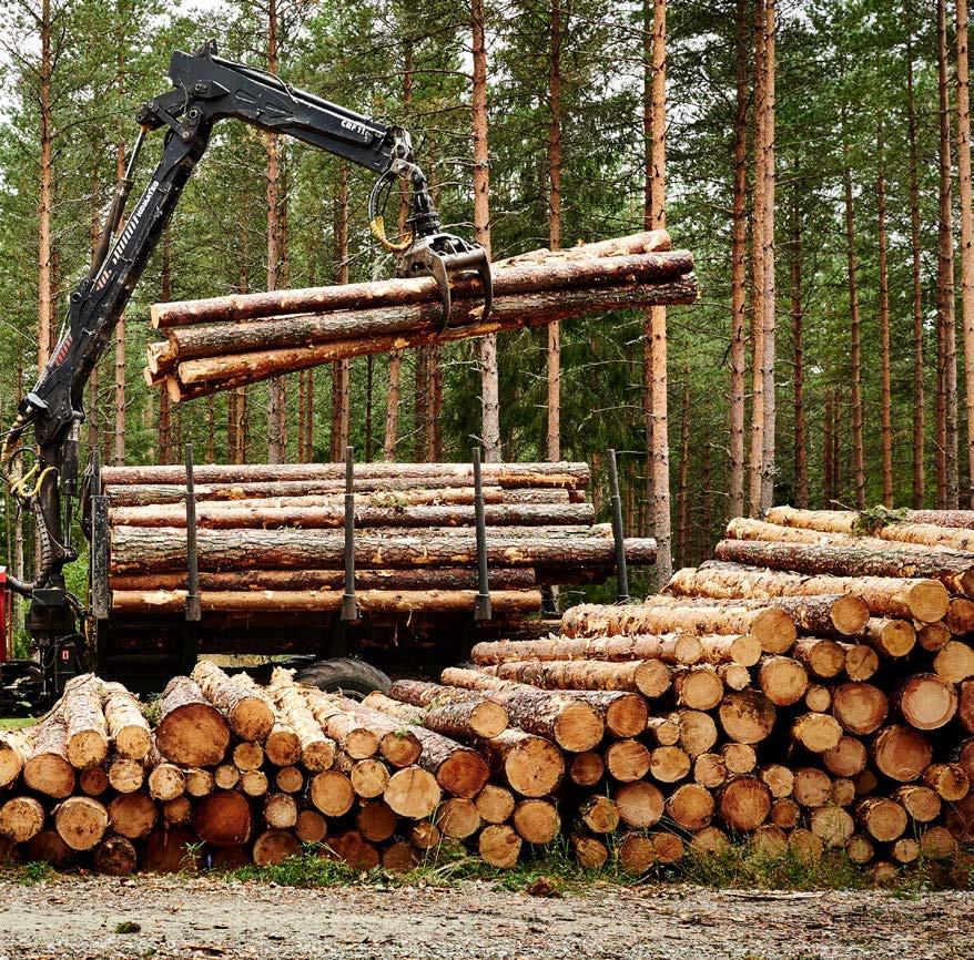 RMK üle Eesti Turustusosakond leiab riigimetsa puidule