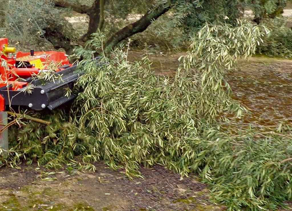PRAKTYCZNA PRZEKŁADNIA Centralna przekładania z dwoma wolnymi kołami