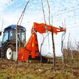 rozkład materii organicznej i powstawanie próchnicy.
