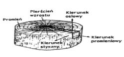 Laminaty kompozyty gradientowe (FGM) Przykład materiału gradientowego