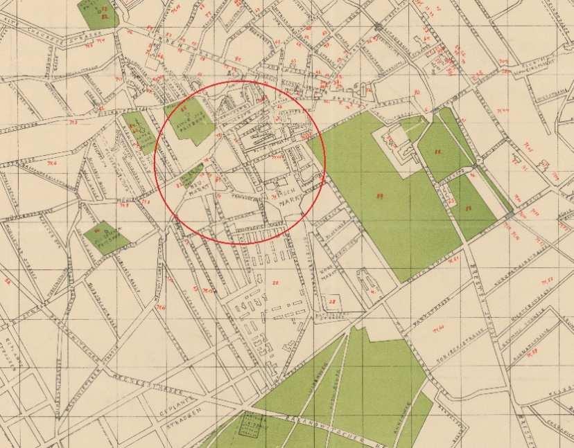 nowe ulice i wyprostowano przebieg ulicy Sosnowej (obecnie ul. Kalinowskiego), wreszcie wzniesiono monumentalny, socrealistyczny Dom Partii (ryc. 12, 13). 66 Ryc.