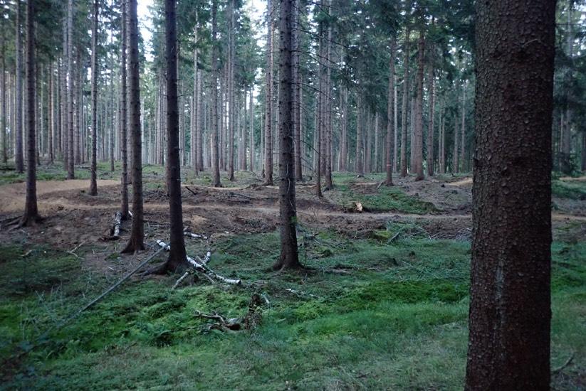 Załącznik nr 1 - wybrane przykłady błędów budowlanych 1.