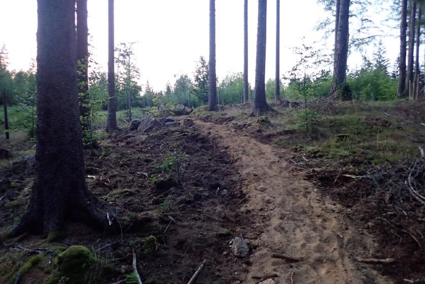 3. W większości miejsc gdzie podbudowa ścieżki powinna być wykonana z gruntu mineralnego, nawierzchnia tworzona jest na