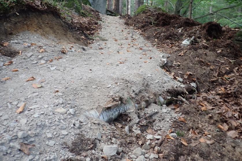 Są także miejsca w których nawierzchnię trasy zbudowano na gruncie organicznym, z podbudowy wystają rośliny zielone, gałęzie