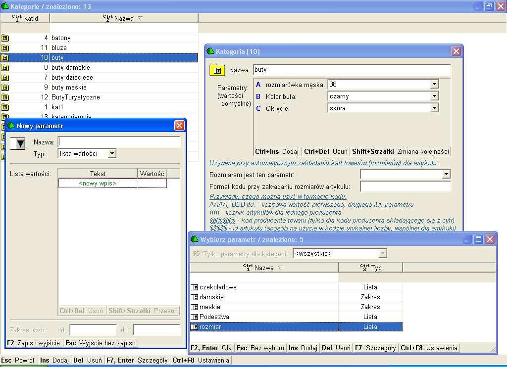 PARAMETRY Parametry definiujemy w menu Towary/Kategorie i Parametry. Są one powiązane bezpośrednio z kategoriami i tylko z poziomu edycji kategorii możemy je edytować lub dodawać.