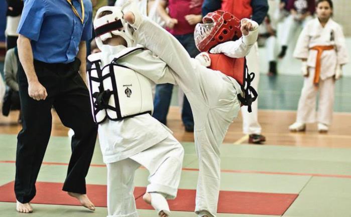Uczniowski Klub Sportowy Ostródzki Klub Kyokushine Karate - kwota 6.