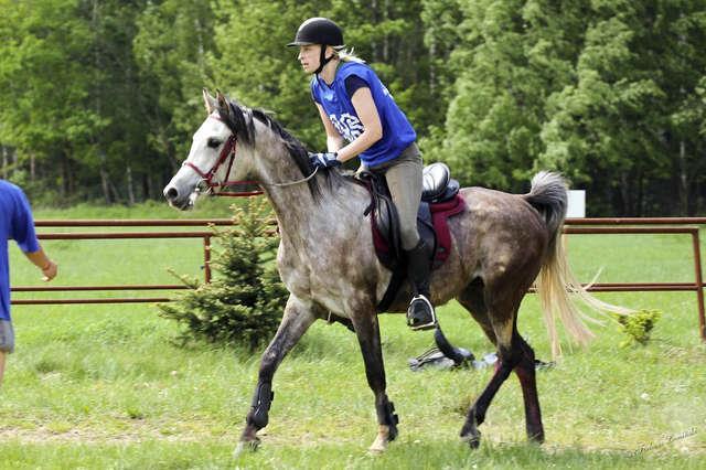Celem zawodów była promocja tej dyscypliny sportu i aktywnej turystyki jeździeckiej oraz promocja walorów