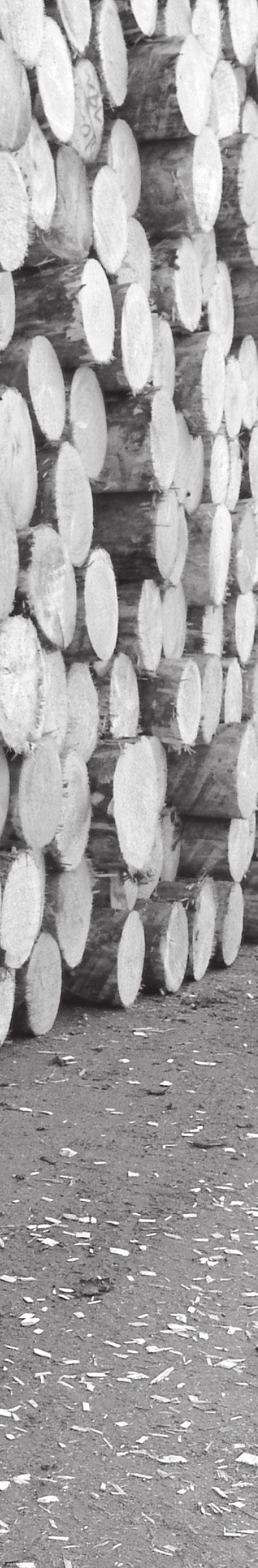 KOCHASZ MATERIAŁ, JAKIM JEST DREWNO Ta miłość do drewna nas łączy binderholz 1963 Franz i Paula Binder
