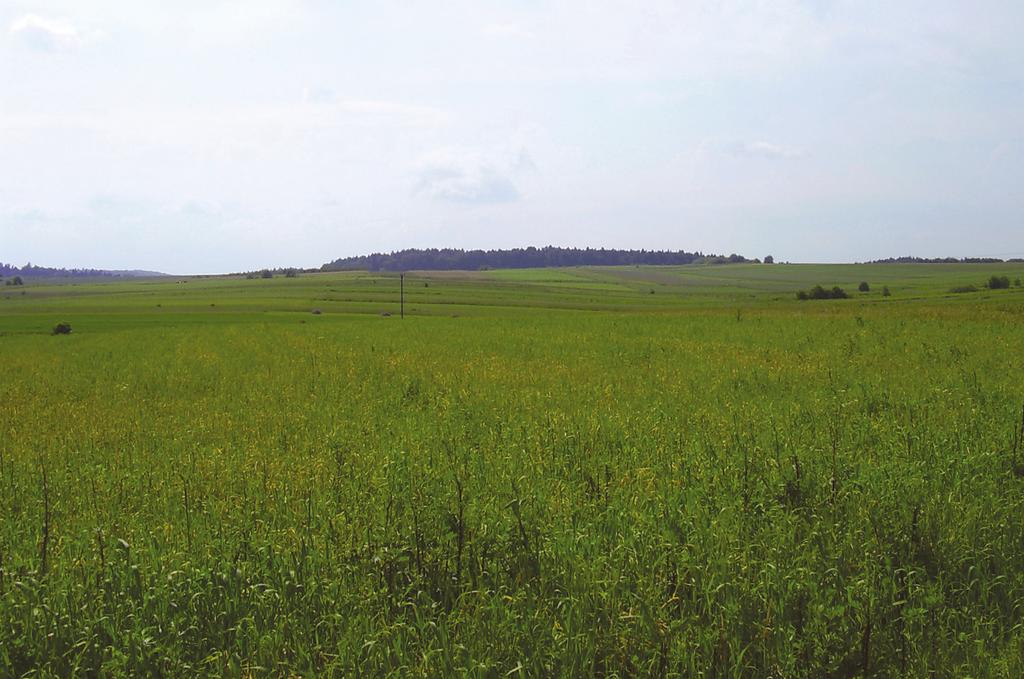 M. Turzański Błotniaki: stawowy i łąkowy na Wyżynie Krakowskiej (Krupiński 2009; Wiącek i in. 2009), można stwierdzić, że omawiany obszar ma niewielkie znaczenie dla tej grupy ptaków.