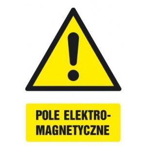 1. Sprawdzenia dotrzymania dopuszczalnych poziomów pól elektromagnetycznych w środowisku dokonuje się metodą pomiaru pól elektromagnetycznych w środowisku w otoczeniu instalacji wytwarzających takie