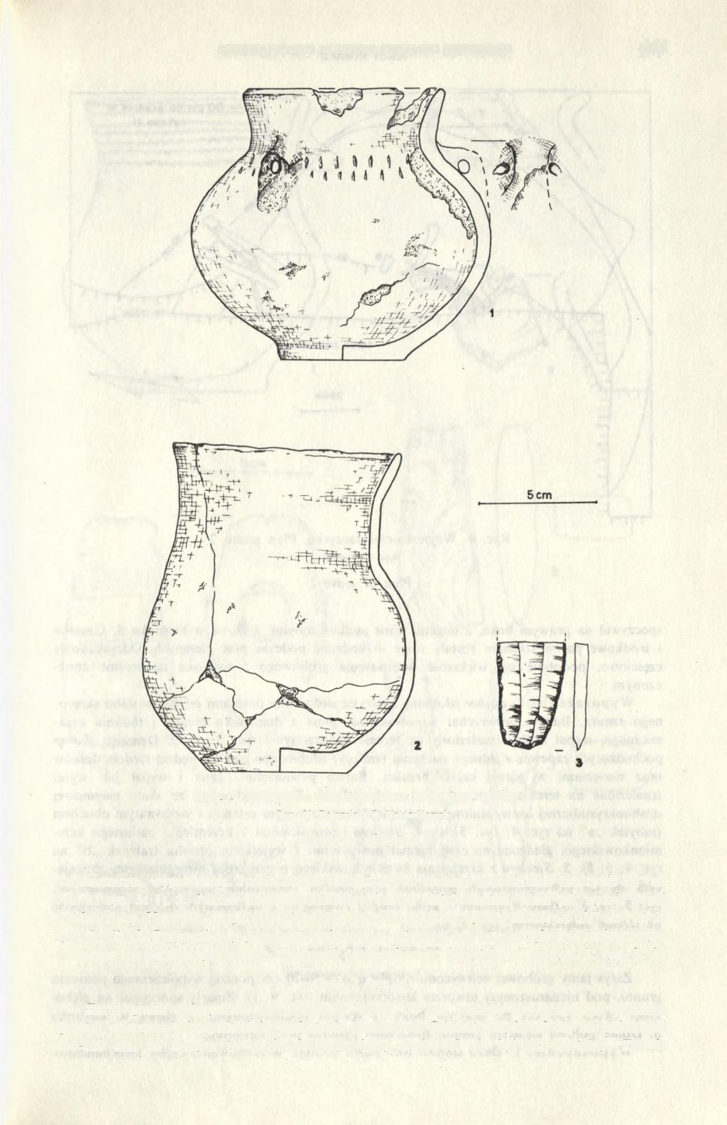 CMENTARZYSKO KULTURY CERAMIKI SZNUROWEJ 141 Ryc. 3. Wójeczka-cmentarzysko. Inwentarz grobu 1 Rys. U. Potyrała i P. Valde-Nowak Inventory of grave 1 ceramicznego, wypał słaby.