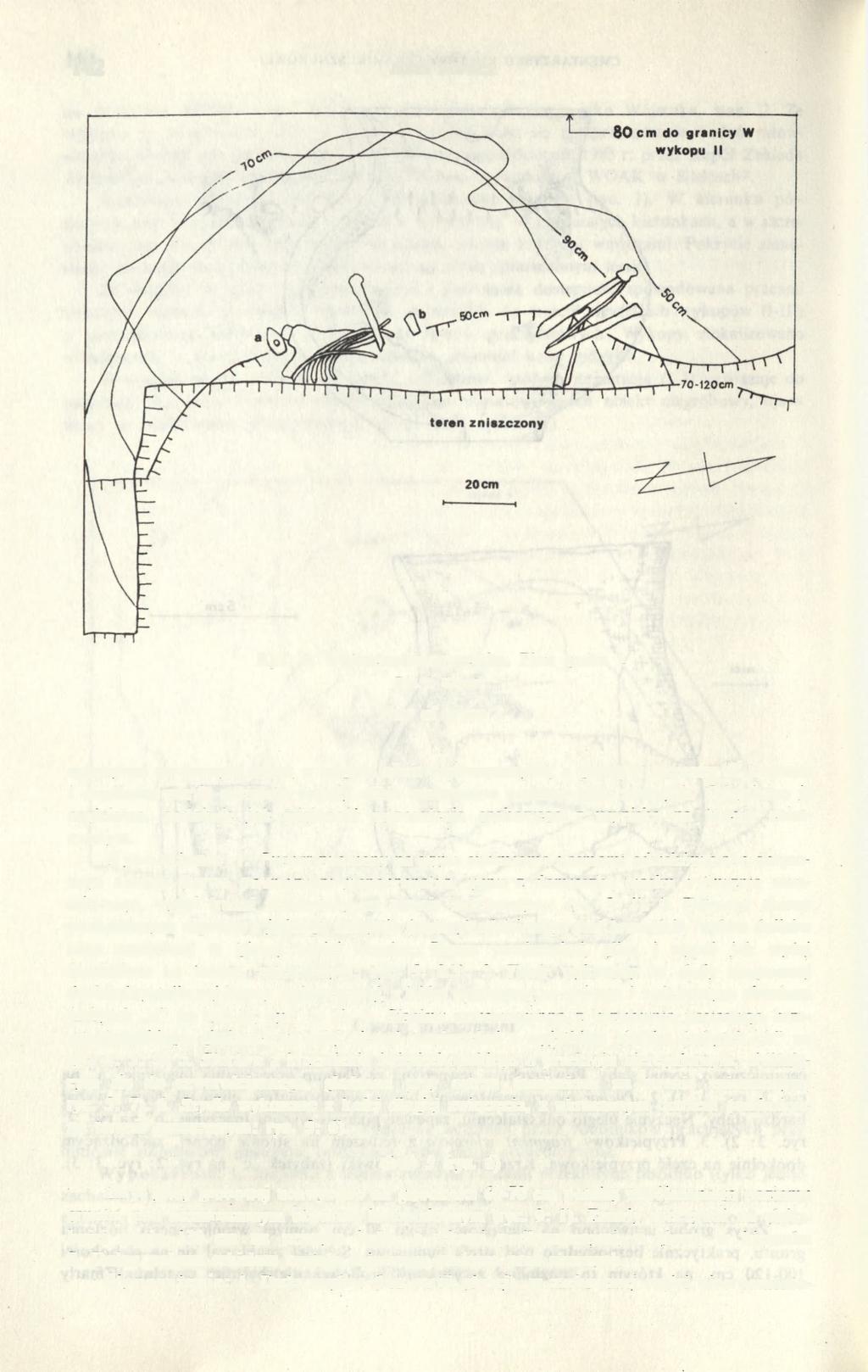 142 JERZY KOPACZ Ryc. 4. Wójeczka-cmentarzysko. Plan grobu 2 Rys. J. Kopacz Plan of grave 2 spoczywał na prawym boku, z nogami silnie podkurczonymi, z głową w kierunku S.