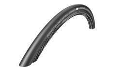 AGN070107 Schwalbe