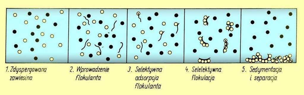 Flokulacja selektywna - metoda wzbogacania Laskowski J., Łuszczkiewicz A.