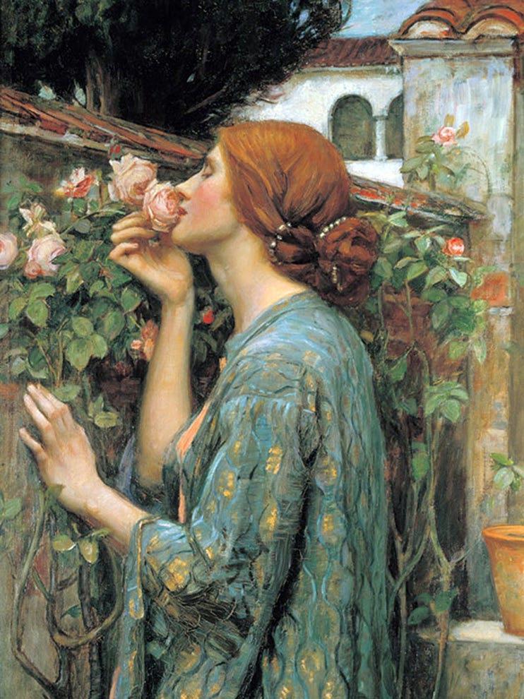 John William Waterhouse, Moja słodka róża, 1908 Terroryści i kolaboranci