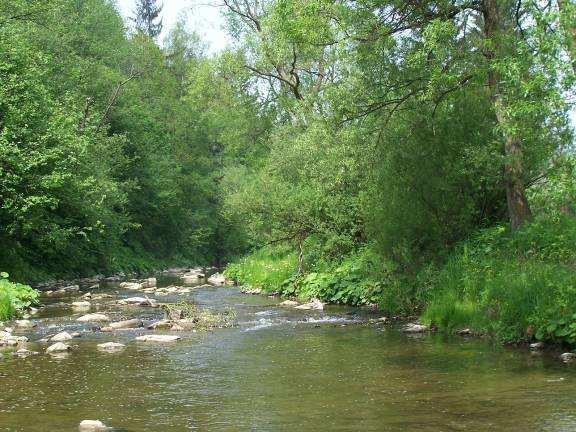 Strategia zarządzania dla obszaru Natura 2000