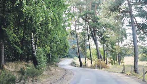 Modernizacja trybun przy terenie rekreacyjnym w miejscowości Stanomino w ramach poprawy i modernizacji infrastruktury sportowej ze środków Wydziału Edukacji i Sportu Urzędu Marszałkowskiego
