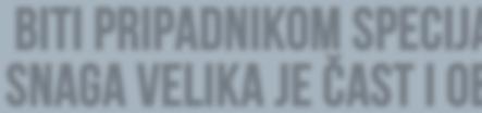 Uz pripadnike postrojbe i zapovjednika brigadira Pericu Turaliju, svečanosti je nazočio izaslanik načelnika GS OSRH general-bojnik Ivan Jurić, glavni inspektor obrane general-pukovnik Mirko Šundov,