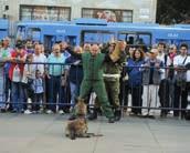 službenih pasa (SOVSP) Satnik Krešimir Ivošević.