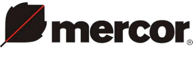 Grupa Kapitałowa "MERCOR" S.A.