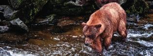 WYPRAWA NA ALASKĘ 64 REJSY PRZEMINĘŁO Z WIATREM 32 BAJKOWE STANY ZACHODNIE 34