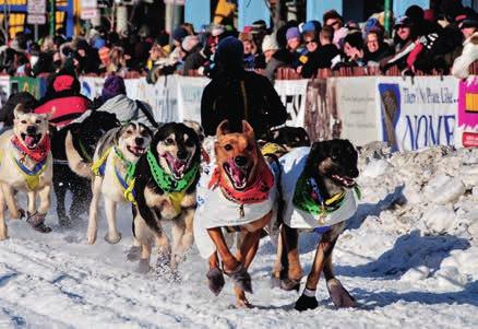 Alaska wycieczki 9 DNI/7 NOCY PARKI NARODOWE ALASKI I ANCHORAGE I PARK NARODOWY DENALI I TALKEETNA I SEWARD I PARK NARODOWY KENAI FIORDS I ANCHORAGE GŁÓWNE ATRAKCJE PROGRAMU Faribanks rejs
