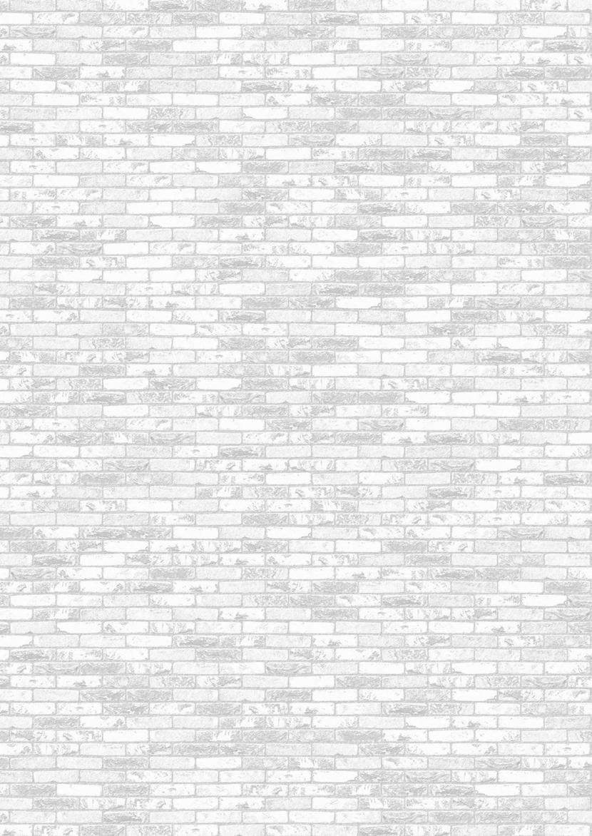Handform Handform Handform Handform Handform Handform Handform Handform MOD 50 MOD 65 RF4 WV50 WV65 N70 4 N70 5 NNF cegła (±188x88x48) (±188x88x64) (±210x99x40) (±210x102x48) (±215x102x64)