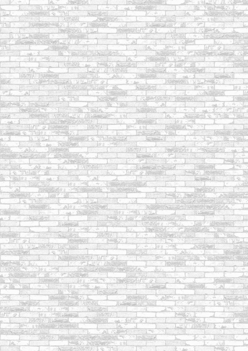 PASSION: Handform Handform Handform Handform Handform Handform Handform Handform MOD 50 MOD 65 RF4 WV50 WV65 N70 4 N70 5 NNF cegła (±188x88x48) (±188x88x64) (±210x99x40) (±210x102x48) (±215x102x64)