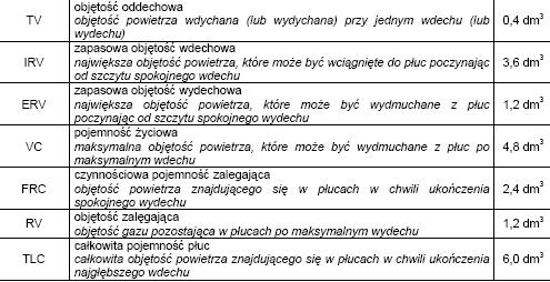 [dm 3 ] [j.u.] Rys.D1) Objętość gazu zgromadzonego w łucach w zależności od czasu dla różnych sosobów oddychania.