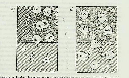 (2) 3.