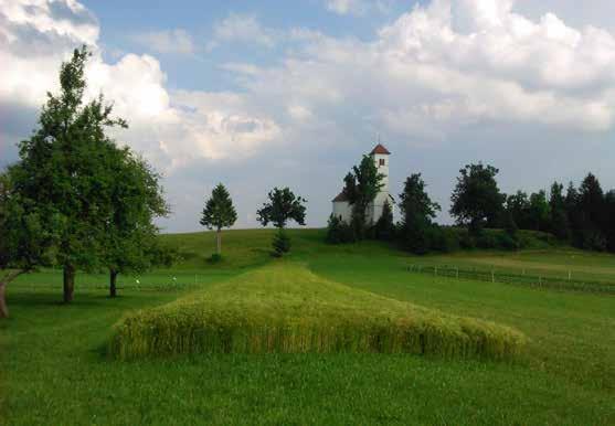 Kolesarskih poti na tem koncu žal ni. Iz Ribnice nadaljujeva po stranskih poteh proti Štifti. Lep je ta konec Slovenije, čisto malo poseljen, gričevnat in gozdnat.
