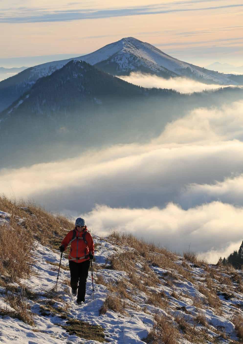Mrazišča so območja, kjer se temperatura v mirnih in jasnih nočeh spusti precej nižje od temperature v