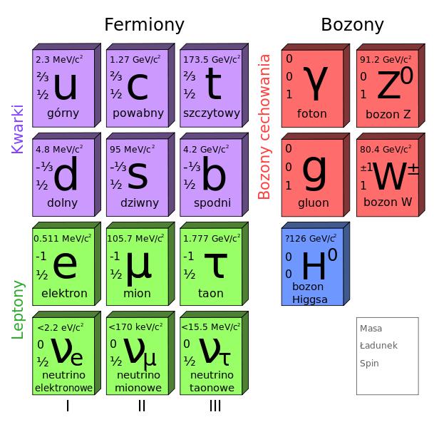 Model Standardowy Opisuje 3 z 4 znanych oddziaływań Oddziaływania przez wymianę nośników oddziaływań (bozonów)