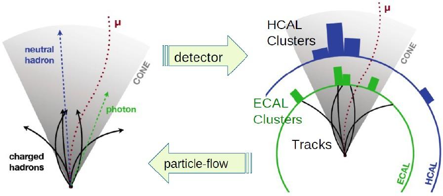 Rekonstrukcja Particle Flow Algorytm Particle Flow: Informacja ze wszystkich detektorów łączona aby zidentyfikować cząstki obecne w zderzeniu Cząstka