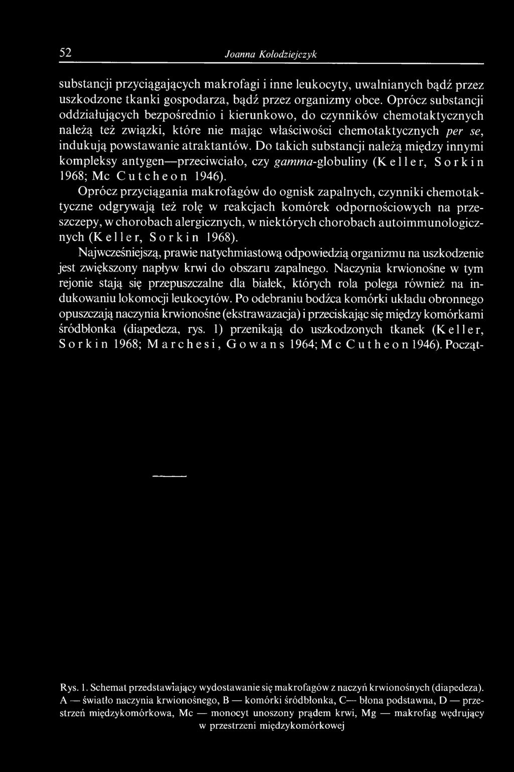 chorobach autoimmunologicznych (Keller, Sorkin 1968). Najwcześniejszą, prawie natychmiastową odpowiedzią organizmu na uszkodzenie jest zwiększony napływ krwi do obszaru zapalnego.