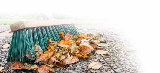 pl ZMIOTKI I ZAMIATACZE 6207 01261 300 Zamiatacz ze szczeciny 35 cm Rodzaj włosia: naturalne Typ: nieoprawione, gniazdo nagwintowane 3078 Zamiatacz 80 cm 307 Zamiatacz 60 cm 310 Zamiatacz 50 cm 302