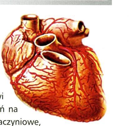 Czy zastąpienie sacharozy produktami słodzącymi poprawi wyrównanie metaboliczne?