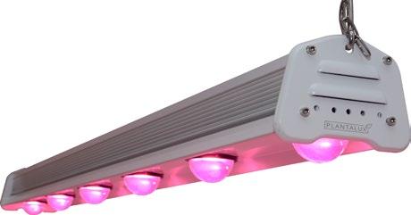 LAMPY LED COB PLANTALUX EX plantalux.
