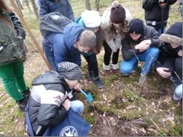 Fotosynteza w liczbach KLASA II Projekt nr 1 Człowiek w