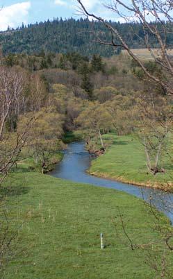 Nadsjanskyj regionalny krajinny park Nadsjanskyj regionalny krajinny park (ekv.