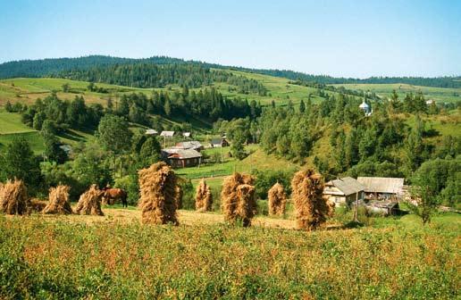 fot. ECBC/ A.Szczerbicki I Krajina NRKP Územie NRKP sa nachádza v Strijsko- Sjanskej vrchovine Rozvodno-verchovinskej oblasti Ukrajinských Karpát v rozpätí nadmorských výšok od 640 do 951 m 
