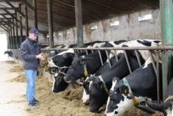 https://www. By uzyskać wysoką roczną wydajność mleka, rolnicy dbają o optymalizację żywienia krów mlecznych. Bez zastosowania TMR-u jest to wręcz niemożliwe.